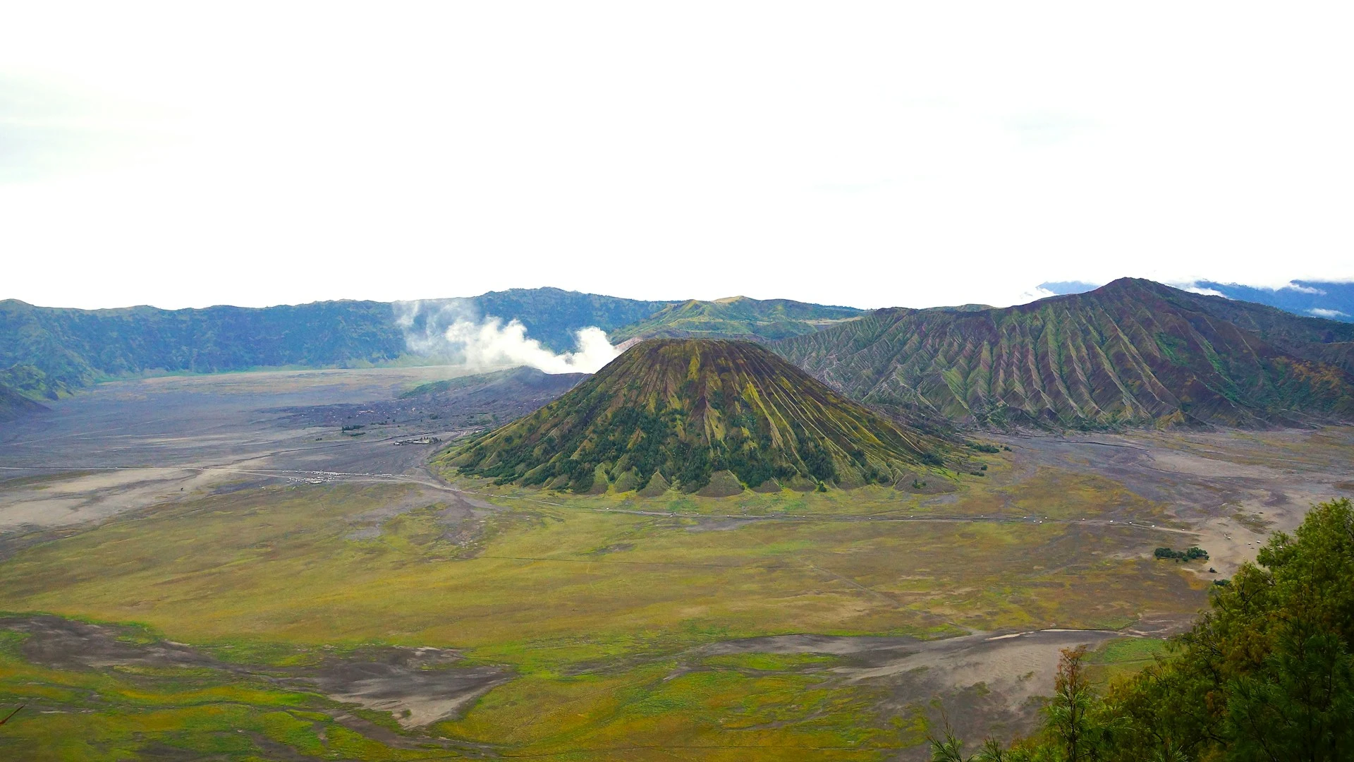 Mount Bromo emitting a plume of steam within its volcanic caldera