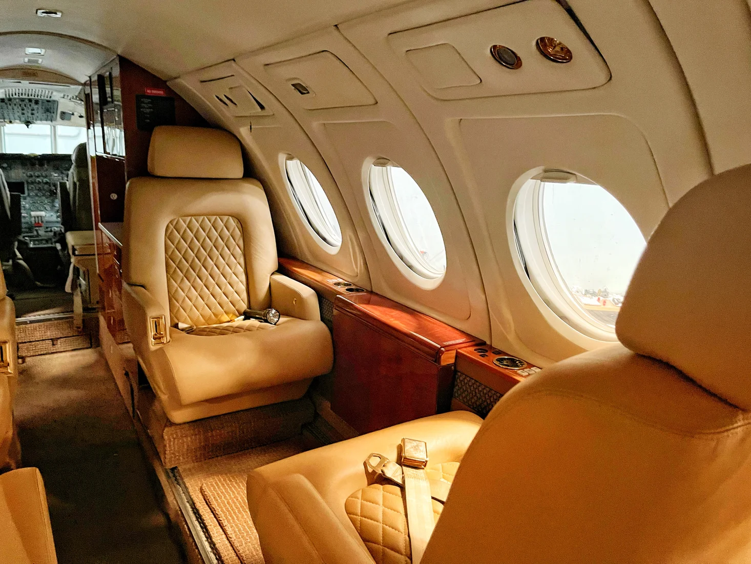 Private aircraft cabin with leather seats