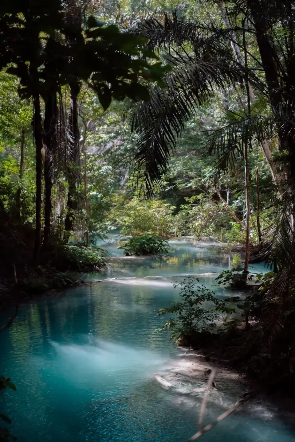 Sumbawa landscape